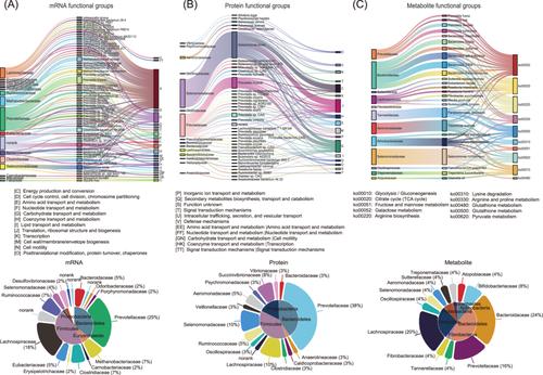 Deciphering functional groups of rumen microbiome and their underlying potentially causal relationships in shaping host traits