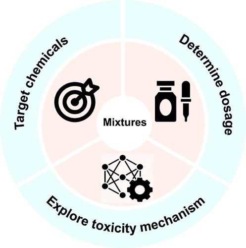 Toxicological Study of Human Exposure to Mixtures of Chemicals: Challenges and Approaches