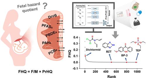 Rapid Screening of Chemicals with Placental Transfer Risk Using Interpretable Machine Learning