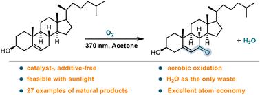 Selective C(sp3)–H bond aerobic oxidation enabled by a π-conjugated small molecule-oxygen charge transfer state†