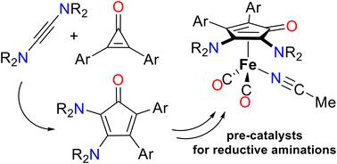 2,3-Diamino-4,5-diarylcyclopentadienone iron carbonyl complexes as catalysts for reductive amination reactions†