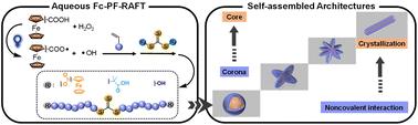 Exploring ferrocene-directed photo-Fenton initiation of RAFT polymerization†