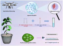 Vesicle-coacervate-driven efficient deposition of a sprayed droplet on hydrophobic soybean leaf surfaces†