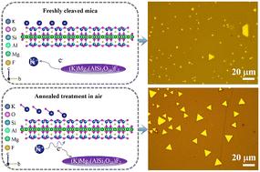 Controllable growth of large-size α-GeTe nanosheets with ferroelectricity by substrate pre-annealing†