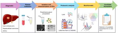 Discovery of candidate biomarkers from plasma-derived extracellular vesicles of patients with cirrhosis and hepatocellular carcinoma: an exploratory proteomic study†