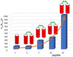 Optimization of peptide foldamer-based artificial retro-aldolase†