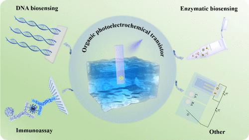 Research Progress of Biosensor Based on Organic Photoelectrochemical Transistor