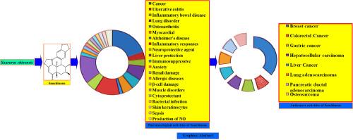 Sauchinone, an active phytochemical of Saururus Chinensis, and its use as therapeutic