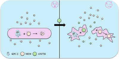 Development of an effective meropenem/KPC-2 inhibitor combination to combat infections caused by carbapenem-resistant Klebsiella pneumoniae