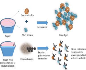 A review on the use of polysaccharides as thickeners in yogurts