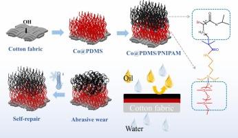 Block copolymer brushes modified cotton fabric for antifouling oil-water separation materials with thermal responsiveness