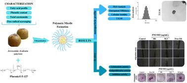 Macauba oil carried by polymeric micelles reduces migration and proliferation of triple-negative breast cancer cells