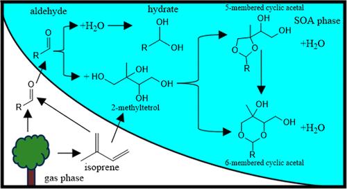 Thermodynamics and Kinetics of Atmospherically Relevant Acetalization Reactions