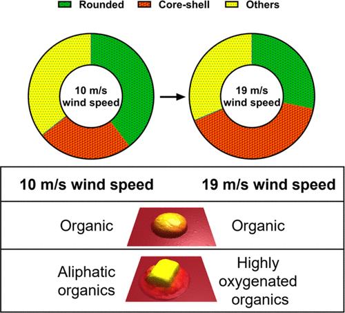 Effects of Wind Speed on Size-Dependent Morphology and Composition of Sea Spray Aerosols