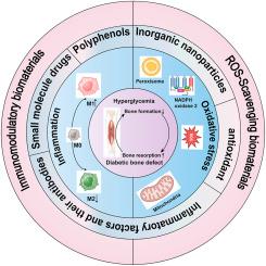 Advances in smart biomaterials that modulate the bone microenvironment to promote bone defect repair in diabetes mellitus