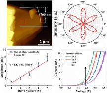 Piezoelectricity in wide bandgap semiconductor 2D crystal GaN nanosheets†