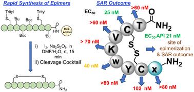 On-resin synthesis of Lanreotide epimers and studies of their structure–activity relationships†