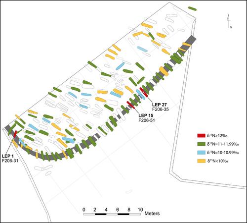 Well supplied in life, set aside in death: A multi-isotope study of Justinian plague victims from Saint-Doulchard (France, 7th–8th centuries AD)