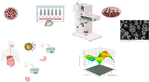 Development of Spray-Dried Microparticles Loaded by Sour Cherry Pomace Extract: Process Optimization, Characterization, and In Vitro Release Studies