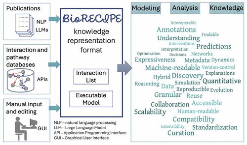 The BioRECIPE Knowledge Representation Format