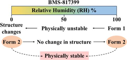 Characterization, Solubility, and Hygroscopicity of BMS-817399