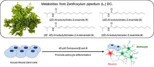 A New Alkylamide with Odd-Chain Fatty Acid from Pericarps of Japanese Pepper (Zanthoxylum piperitum (L.) DC.)