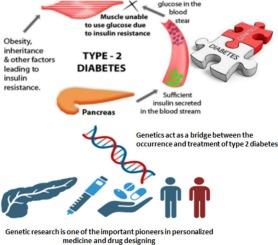 Unraveling the molecular genetic basis of type 2 diabetes