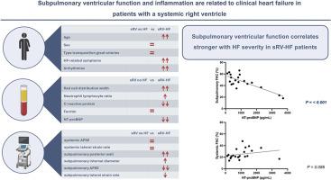 Subpulmonary ventricular function and inflammation are related to clinical heart failure in patients with a systemic right ventricle