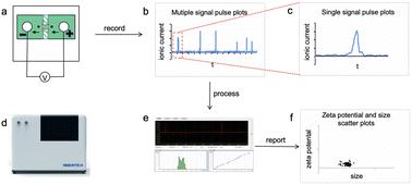 Quality and efficiency assessment of five extracellular vesicle isolation methods using the resistive pulse sensing strategy