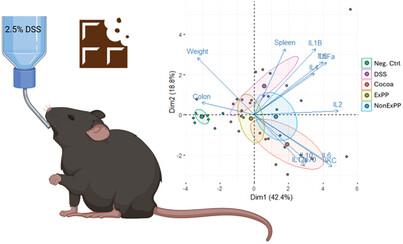 Cocoa and Polyphenol-Rich Cocoa Fractions Fail to Improve Acute Colonic Inflammation in Dextran Sulfate Sodium-Treated Mice