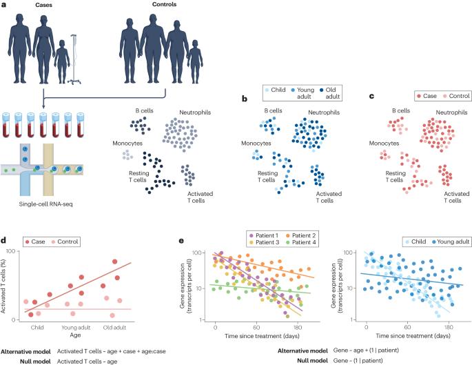 Revealing gene function with statistical inference at single-cell resolution