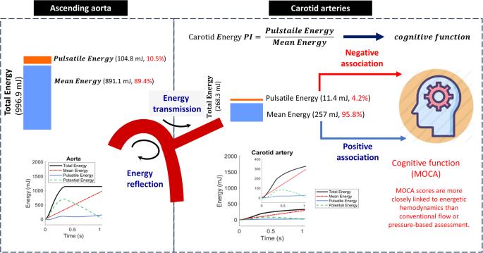 Dissecting the vascular-cognitive nexus: energetic vs. conventional hemodynamic parameters