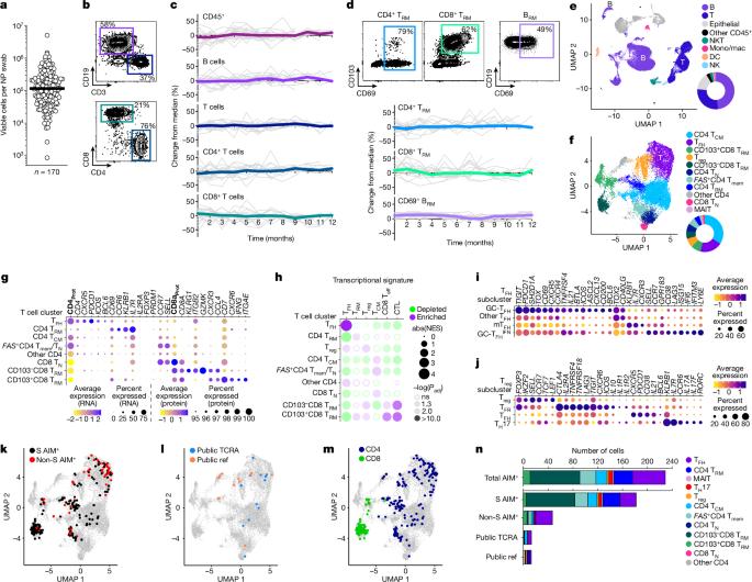 Immunological memory diversity in the human upper airway