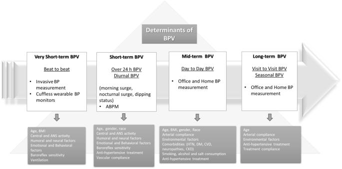 Exploring the link between blood pressure variability and atrial fibrillation: current insights and future directions