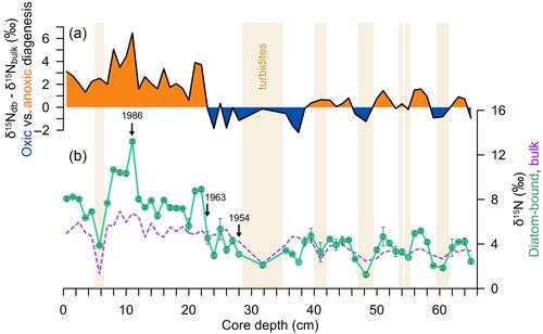 First lacustrine application of the diatom-bound nitrogen isotope paleo-proxy reveals coupling of denitrification and N2 fixation in a hyper-eutrophic lake