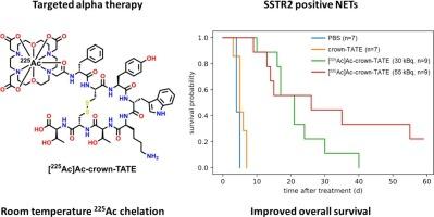 Preclinical evaluation of [225Ac]Ac-crown-TATE – An alpha-emitting radiopharmaceutical for neuroendocrine tumors