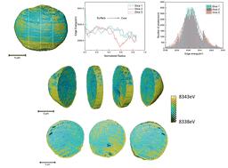 Transmission X-ray microscopy-based three-dimensional XANES imaging