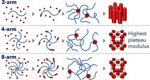 Microphase Separation and Gelation through Polymerization-Induced Self-Assembly Using Star Polyethylene Glycols