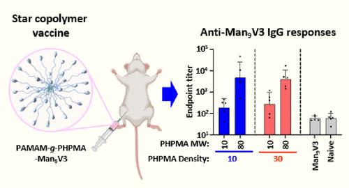 Synthesis and Structure Optimization of Star Copolymers as Tunable Macromolecular Carriers for Minimal Immunogen Vaccine Delivery
