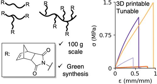 Norbornene Dicarboximide: A Green Alternative for Thiol-Norbornene Photopolymers