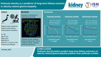 Podocyte density as a predictor of long-term kidney outcome in obesity-related glomerulopathy