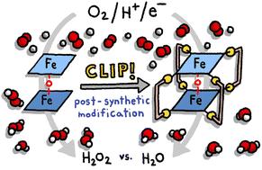 Post-synthetic modification of bis-iron(iii)-μ-oxo-porphyrin prisms to enhance oxygen reduction electrocatalysis†
