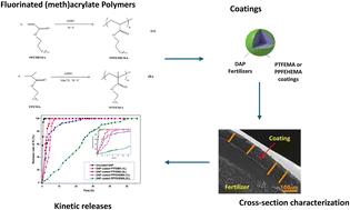 Insights into hydrophobic (meth)acrylate polymers as coating for slow-release fertilizers to reduce nutrient leaching†