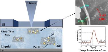 High resolution observation of a noble-metal/ZnO-QDs/rGO ternary system through an ultra-thin SiNx window using in situ liquid cell scanning electron microscopy†