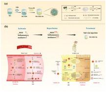 Ultrasmall magnolol/ebselen nanomicelles for preventing renal ischemia/reperfusion injury†
