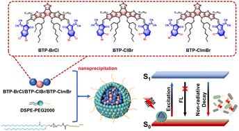 Halogen atom regulation of acceptor–donor–acceptor type conjugated molecules for photothermal antibacterial and antibiofilm therapy†