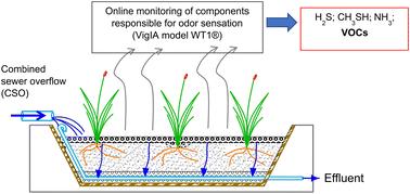 First report of components responsible for odor sensation from a vertical flow constructed wetland treating combined sewer overflow