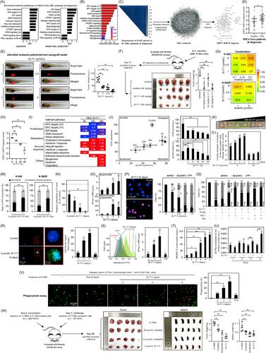 Dual inhibition of sirtuins 1 and 2: reprogramming metabolic energy dynamics in chronic myeloid leukemia as an immunogenic anticancer strategy