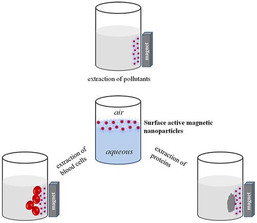 Iron Oxide Nanomaterials at Interfaces for Sustainable Environmental Applications