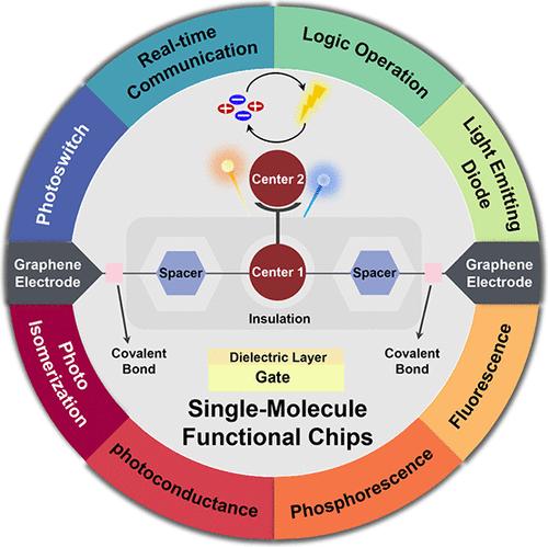 Single-Molecule Functional Chips: Unveiling the Full Potential of Molecular Electronics and Optoelectronics